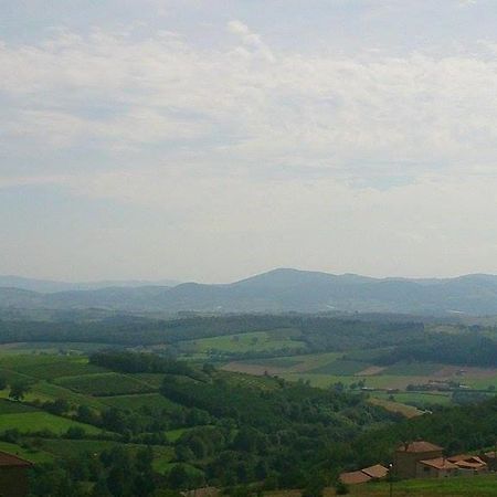 فيلا La Dame De Messignac Ternand المظهر الخارجي الصورة
